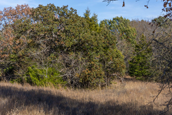 property photo for Harmony Hills Tract 40, 8.71 acres for sale in Pittsburg County, Oklahoma