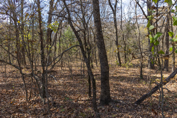property photo for Harmony Hills Tract 41, 5.7 acres for sale in Pittsburg County, Oklahoma