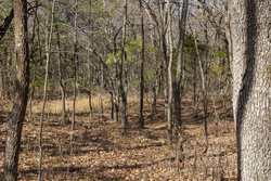 property photo for Harmony Hills Tract 41, 5.7 acres for sale in Pittsburg County, Oklahoma