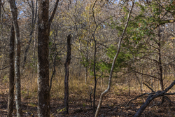 property photo for Harmony Hills Tract 41, 5.7 acres for sale in Pittsburg County, Oklahoma