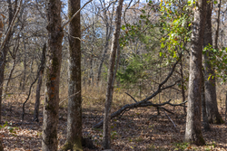 property photo for Harmony Hills Tract 41, 5.7 acres for sale in Pittsburg County, Oklahoma