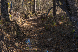 property photo for Harmony Hills Tract 42, 7.08 acres for sale in Pittsburg County, Oklahoma