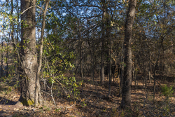 property photo for Harmony Hills Tract 42, 7.08 acres for sale in Pittsburg County, Oklahoma