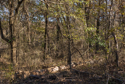 property photo for Harmony Hills Tract 42, 7.08 acres for sale in Pittsburg County, Oklahoma