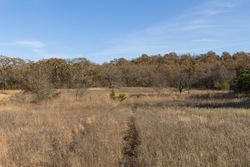 property photo for Harmony Hills Tract 44, 6.14 acres for sale in Pittsburg County, Oklahoma