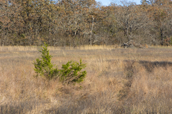 property photo for Harmony Hills Tract 44, 6.14 acres for sale in Pittsburg County, Oklahoma