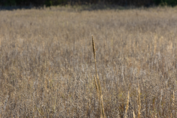 property photo for Harmony Hills Tract 44, 6.14 acres for sale in Pittsburg County, Oklahoma