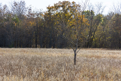 property photo for Harmony Hills Tract 44, 6.14 acres for sale in Pittsburg County, Oklahoma