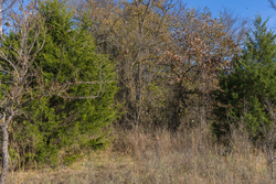 property photo for Harmony Hills Tract 44, 6.14 acres for sale in Pittsburg County, Oklahoma