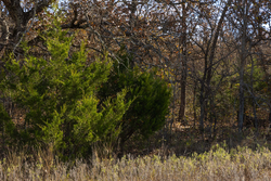 property photo for Harmony Hills Tract 47, 5.2 acres for sale in Pittsburg County, Oklahoma