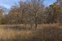 property photo for Harmony Hills Tract 47, 5.2 acres for sale in Pittsburg County, Oklahoma