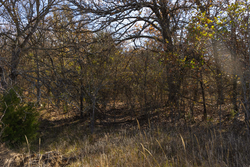 property photo for Harmony Hills Tract 47, 5.2 acres for sale in Pittsburg County, Oklahoma