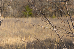 property photo for Harmony Hills Tract 47, 5.2 acres for sale in Pittsburg County, Oklahoma