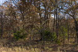 property photo for Harmony Hills Tract 47, 5.2 acres for sale in Pittsburg County, Oklahoma