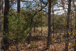 property photo for Harmony Hills Tract 49, 7.95 acres for sale in Pittsburg County, Oklahoma