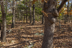 property photo for Harmony Hills Tract 49, 7.95 acres for sale in Pittsburg County, Oklahoma