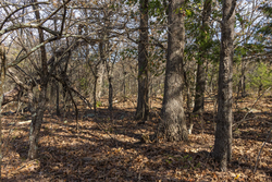 property photo for Harmony Hills Tract 49, 7.95 acres for sale in Pittsburg County, Oklahoma