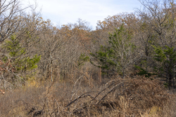 property photo for Harmony Hills Tract 49, 7.95 acres for sale in Pittsburg County, Oklahoma
