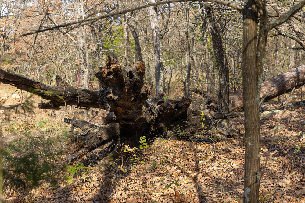 7.95 acre rural land tract for sale at Harmony Hills Tract 49 in Pittsburg County, Oklahoma