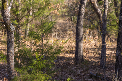 property photo for Harmony Hills Tract 50, 5.1 acres for sale in Pittsburg County, Oklahoma