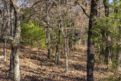 property photo for Harmony Hills Tract 50, 5.1 acres for sale in Pittsburg County, Oklahoma