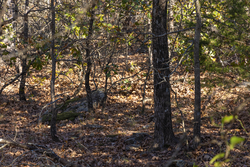 property photo for Harmony Hills Tract 50, 5.1 acres for sale in Pittsburg County, Oklahoma