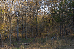 property photo for Harmony Hills Tract 52, 4.89 acres for sale in Pittsburg County, Oklahoma