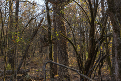 property photo for Harmony Hills Tract 52, 4.89 acres for sale in Pittsburg County, Oklahoma