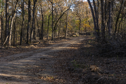 property photo for Harmony Hills Tract 52, 4.89 acres for sale in Pittsburg County, Oklahoma