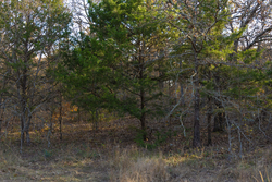 property photo for Harmony Hills Tract 52, 4.89 acres for sale in Pittsburg County, Oklahoma