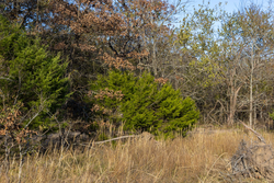 property photo for Harmony Hills Tract 52, 4.89 acres for sale in Pittsburg County, Oklahoma