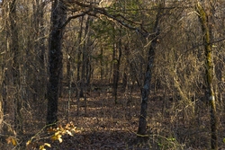 property photo for Harmony Hills Tract 52, 4.89 acres for sale in Pittsburg County, Oklahoma