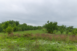 property photo for Harmony Hills Tract 6, 4.99 acres for sale in Pittsburg County, Oklahoma