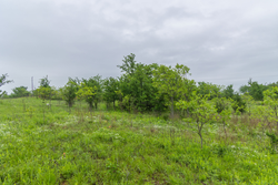 property photo for Harmony Hills Tract 6, 4.99 acres for sale in Pittsburg County, Oklahoma