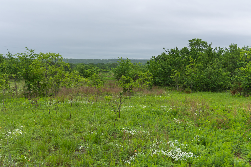 4.99 acre rural land tract for sale at Harmony Hills Tract 6 in Pittsburg County, Oklahoma