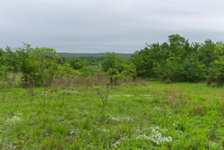 property photo for Harmony Hills Tract 6, 4.99 acres for sale in Pittsburg County, Oklahoma