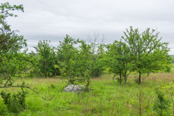 property photo for Harmony Hills Tract 7, 5.2 acres for sale in Pittsburg County, Oklahoma