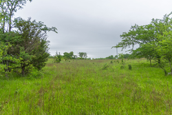 property photo for Harmony Hills Tract 7, 5.2 acres for sale in Pittsburg County, Oklahoma
