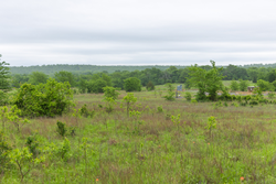 property photo for Harmony Hills Tract 7, 5.2 acres for sale in Pittsburg County, Oklahoma