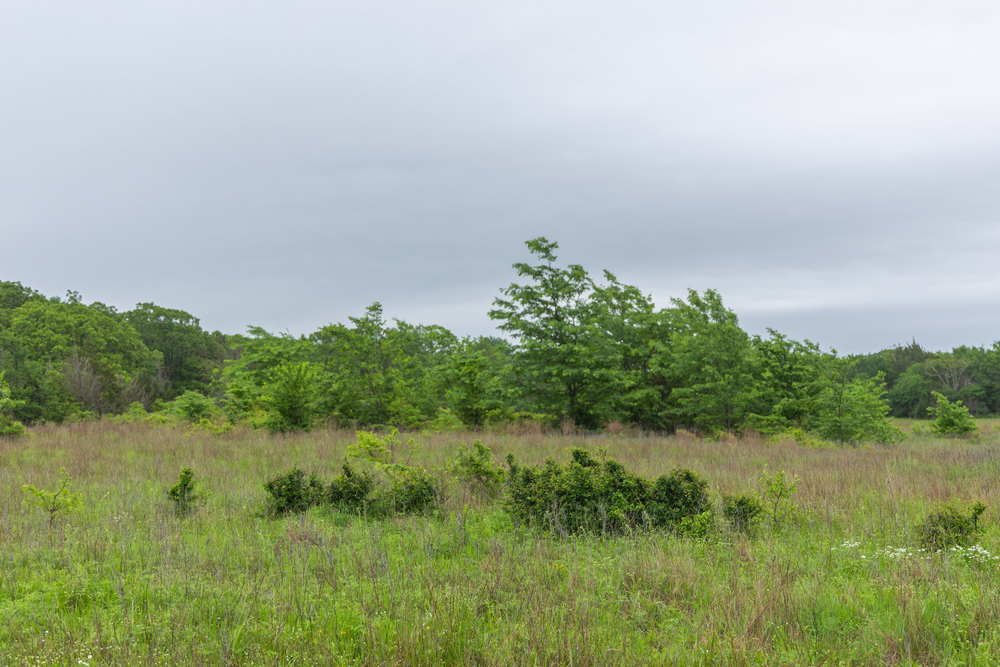 5.2 acre rural land tract for sale at Harmony Hills Tract 7 in Pittsburg County, Oklahoma