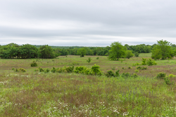 property photo for Harmony Hills Tract 8, 5.27 acres for sale in Pittsburg County, Oklahoma