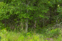 property photo for Harmony Hills Tract 8, 5.27 acres for sale in Pittsburg County, Oklahoma