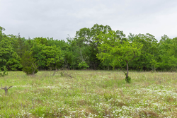 property photo for Harmony Hills Tract 8, 5.27 acres for sale in Pittsburg County, Oklahoma