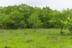 property photo for Harmony Hills Tract 8, 5.27 acres for sale in Pittsburg County, Oklahoma