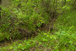 property photo for Harmony Hills Tract 9, 4.78 acres for sale in Pittsburg County, Oklahoma