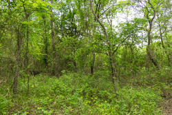 property photo for Harmony Hills Tract 9, 4.78 acres for sale in Pittsburg County, Oklahoma
