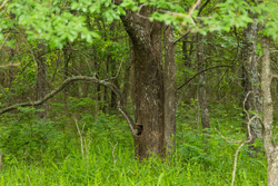 property photo for Harmony Hills Tract 9, 4.78 acres for sale in Pittsburg County, Oklahoma