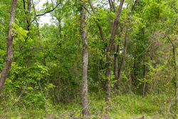 property photo for Harmony Hills Tract 9, 4.78 acres for sale in Pittsburg County, Oklahoma