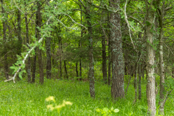 property photo for Harmony Hills Tract 9, 4.78 acres for sale in Pittsburg County, Oklahoma