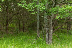 property photo for Harmony Hills Tract 9, 4.78 acres for sale in Pittsburg County, Oklahoma